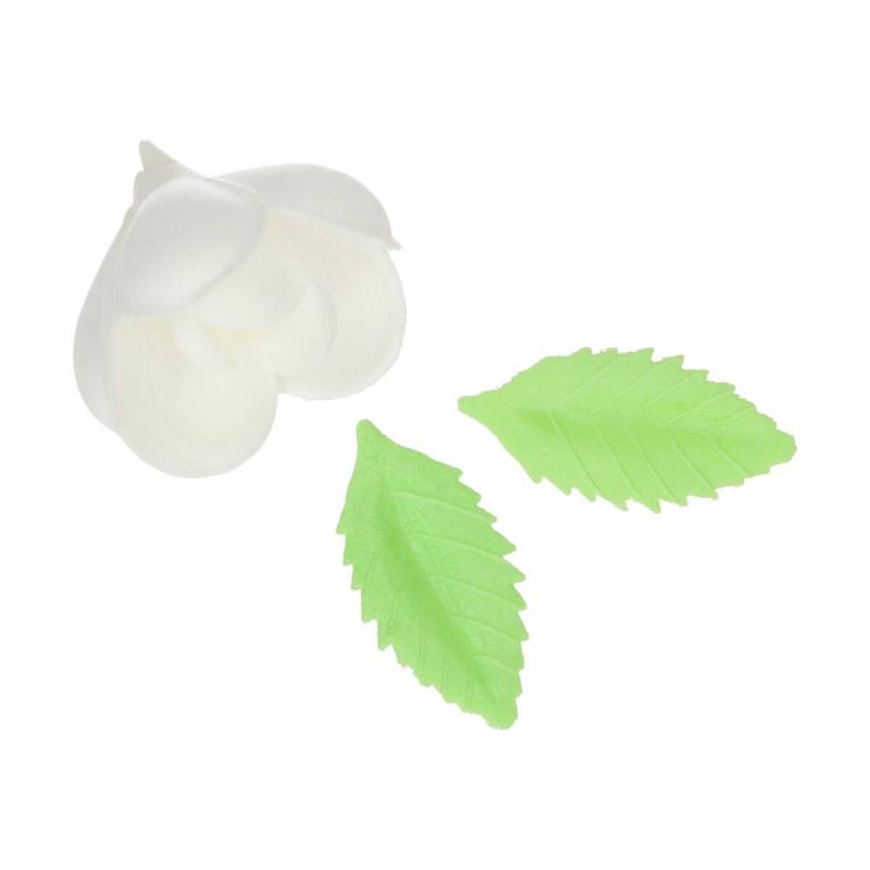 Tulipas Brancas - 12 Unidades
