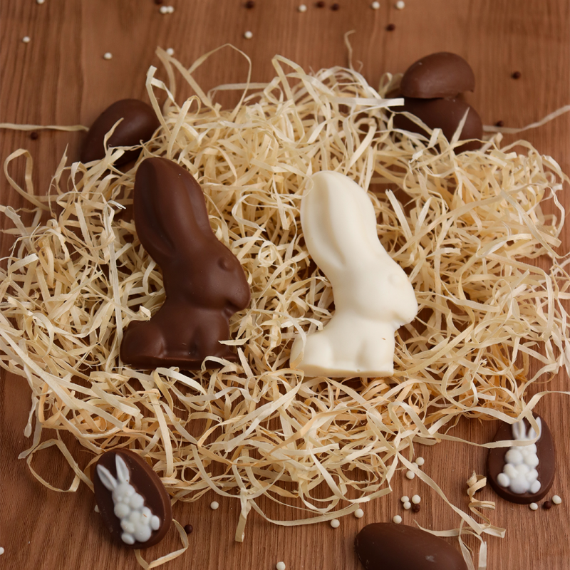 Molde Simples Coelho